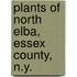 Plants Of North Elba, Essex County, N.Y.
