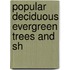 Popular Deciduous Evergreen Trees And Sh