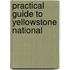Practical Guide To Yellowstone National