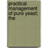 Practical Management Of Pure Yeast; The