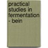 Practical Studies In Fermentation - Bein