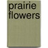 Prairie Flowers