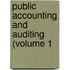 Public Accounting And Auditing (Volume 1