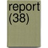 Report (38)