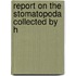 Report On The Stomatopoda Collected By H