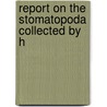 Report On The Stomatopoda Collected By H door William Keith Brooks