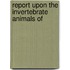 Report Upon The Invertebrate Animals Of