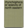 Rhynchophora Or Weevils Of North Eastern door Willis Stanley Blatchley