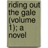 Riding Out The Gale (Volume 1); A Novel