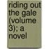 Riding Out The Gale (Volume 3); A Novel
