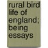 Rural Bird Life Of England; Being Essays