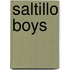 Saltillo Boys