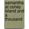 Samantha At Coney Island And A Thousand door Marietta Holley