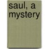 Saul, A Mystery