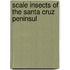 Scale Insects Of The Santa Cruz Peninsul
