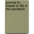 Scenes In Hawaii Or Life In The Sandwich