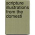 Scripture Illustrations From The Domesti