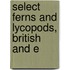 Select Ferns And Lycopods, British And E