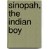 Sinopah, The Indian Boy