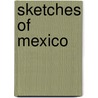 Sketches Of Mexico by John Wesley Butler