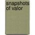 Snapshots Of Valor
