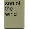 Son Of The Wind by Lucia Chamberlain