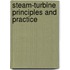 Steam-Turbine Principles And Practice