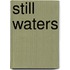 Still Waters
