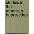 Studies In The American Buprestidae