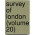 Survey Of London (Volume 20)