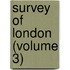 Survey Of London (Volume 3)