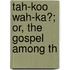 Tah-Koo Wah-Ka?; Or, The Gospel Among Th