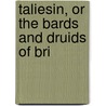 Taliesin, Or The Bards And Druids Of Bri door David William Nash