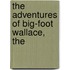 The Adventures Of Big-Foot Wallace, The