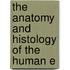 The Anatomy And Histology Of The Human E
