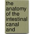 The Anatomy Of The Intestinal Canal And