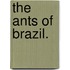 The Ants Of Brazil.