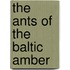 The Ants Of The Baltic Amber