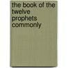 The Book Of The Twelve Prophets Commonly door Sir George Adam Smith