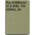 The Childhood Of Ji-Shib, The Ojibwa, An