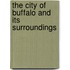The City Of Buffalo And Its Surroundings