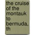 The Cruise Of The Montauk To Bermuda, Th