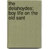 The Delahoydes; Boy Life On The Old Sant