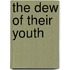 The Dew Of Their Youth