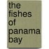 The Fishes Of Panama Bay
