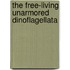 The Free-Living Unarmored Dinoflagellata