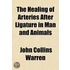 The Healing Of Arteries After Ligature I