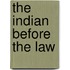 The Indian Before The Law