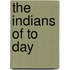 The Indians Of To Day