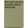 The Irish Convict System; More Especiall door Franz Von Holtzendorff
